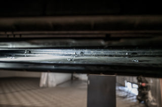 _DSC1400-Enhanced-NRaaaa_pdfName.jpg