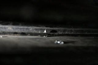 _DSC1405-Enhanced-NRAAAA_pdfName.jpg